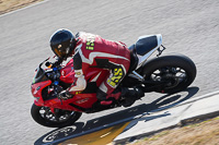 anglesey-no-limits-trackday;anglesey-photographs;anglesey-trackday-photographs;enduro-digital-images;event-digital-images;eventdigitalimages;no-limits-trackdays;peter-wileman-photography;racing-digital-images;trac-mon;trackday-digital-images;trackday-photos;ty-croes